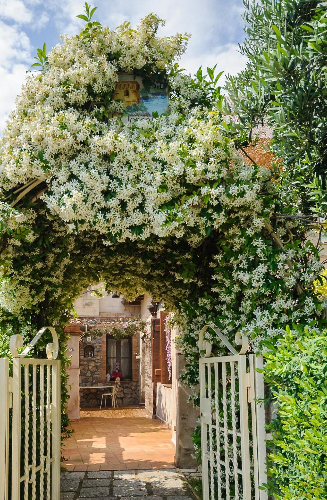 B&B La Torretta Maratea Exteriér fotografie